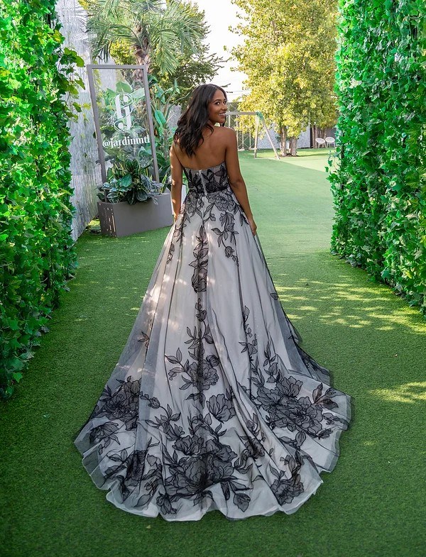 Robe de bal (2)